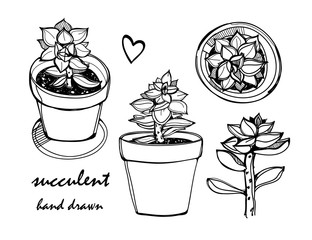 Canvas Print - Hand drawn sketchy succulents. Graphic vector set. All elements are isolated