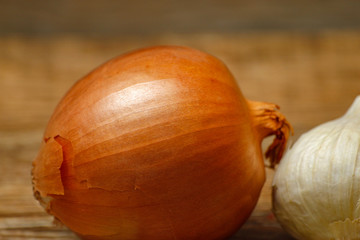 Dry basil spice in metal spoon and ceramic plate on wooden table and garlic and onion in the background