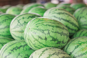 Many big sweet green watermelons and one cut watermelon