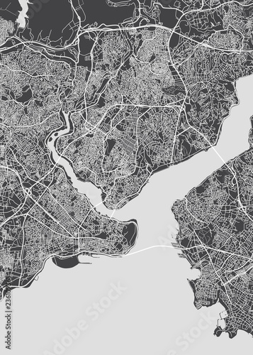 Fotografía City map Istanbul, monochrome detailed plan, vector illustration