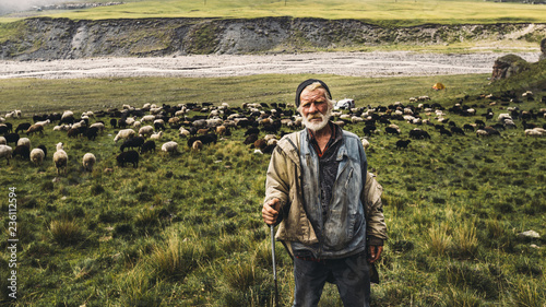 Fotomural Portrait of shepherd with sheep on a field in the mountains