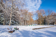 Snow Covered Benches In Winter Park At Sunny Day