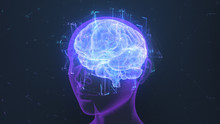 3D Render Of A Holographic Digital Style Human Brain Conveying The Idea Of Artificial Intelligence, Bio Hacking And The Fusion Of Nature, Technology And Science