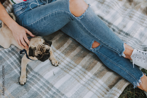 Photographie Top view of little pug on plaid with his young female owner