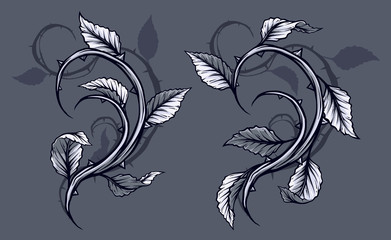 Wall Mural - Graphic detailed black and white rose branch, stem with leaves, thorns and shadows. Isolated on gray background. Vector icon set. Vol. 5