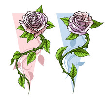 Graphic Detailed Cartoon Pink Roses Flower With Stem And Leaves. On White Background. Vector Icon Set. Vol. 2