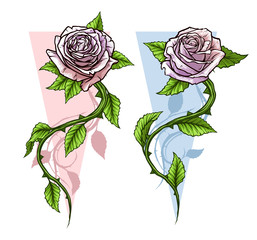 Wall Mural - Graphic detailed cartoon pink roses flower with stem and leaves. On white background. Vector icon set. Vol. 2