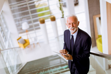 Wall Mural - Senior businessman using digital tablet in the office