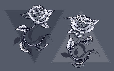 Wall Mural - Graphic detailed graphic black and white roses flower with stem and leaves. On gray background. Vector icon set. Vol. 3