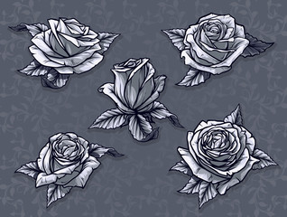 Wall Mural - Graphic detailed cartoon black and white rose flower bud with leaves. On gray background. Vector icon set.