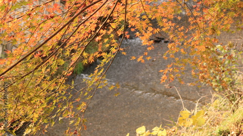 色づき始める紅葉と川の流れ Buy This Stock Photo And Explore Similar Images At Adobe Stock Adobe Stock