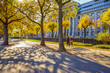 Walk in the park on a sunny day in autumn, Cologne, Germany