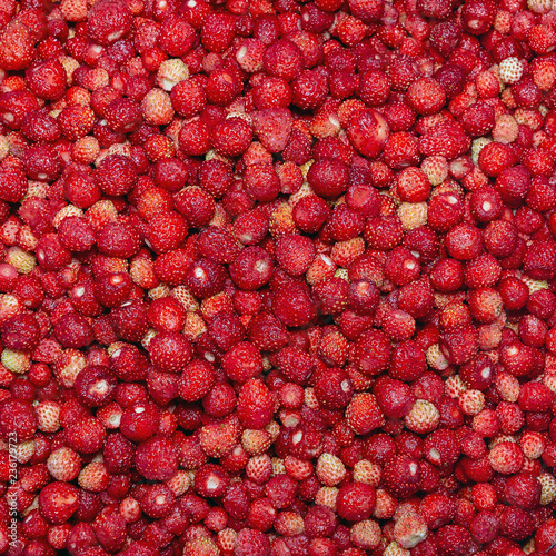 Food Background Is Red Square The Solid Background Consists Of Strawberries Natural Texture Copy Space Stock Photo Adobe Stock