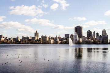Fototapete - Central Park New York