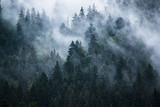 Fototapeta Las - Misty mountain landscape