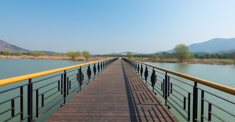 The straight plank bridge in the first spring park