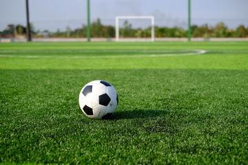  Soccer football on green grass field and goal post