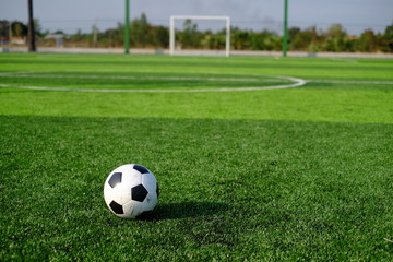 Soccer football on green grass field and goal post