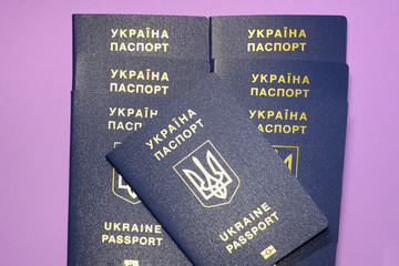 Ukraine passports with golden letters and trident emblem on violet blurred background. Stack of seven ukranian migration id documents. 