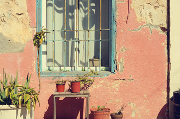 Old pink painted house with cracked walls, blue wooden window and green plants. Pop art concept, retro style