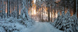 canvas print picture - Abendrot im Winterwald