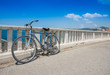 Bicicletta vintage in paesaggio di mare estivo