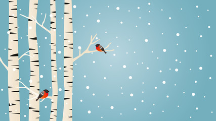 Snowy birch trees and Bullfinches birds, winter vector background