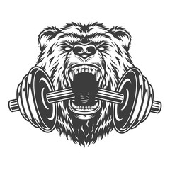 Wall Mural - angry bear head bites dumbbell