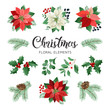 Poinsettia Flowers and Christmas Floral Elements in Watercolor Style vector.