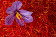 Flowers of saffron after collection. Crocus sativus, commonly known as the 