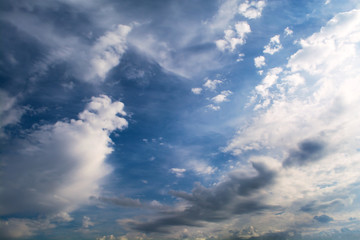 Wall Mural - white curly clouds in a blue sky. sky background