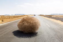 Giant Tumbleweed On The Highway With Sandy Dunes, Between El-Bahariya Oasis And Al Farafra Oasis, Western Desert Of Egypt, Between Giza Governorate And New Valley Governorate, Near White Desert