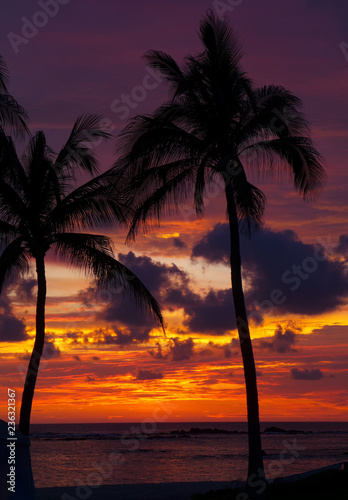 Tropical Paradise Sunset On The Sandy Beaches Of Punta Mita Mexico Buy This Stock Photo And Explore Similar Images At Adobe Stock Adobe Stock