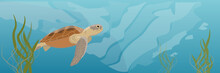 Tropical Underwater Realistic Landscape. A Large Green Sea Turtle Soup Swims Under Water. Seaweed Vector Illustration Of A Sea Life