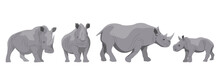 Collection Of Adult White And Black African Rhinos And Their Young. Realistic Vector Animals