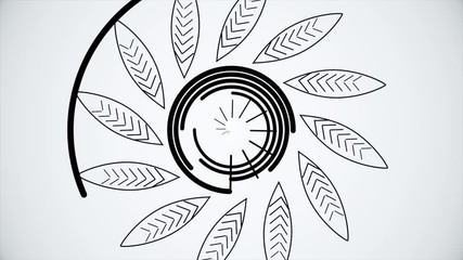 Poster - Drawing background with black and white concentric lines. Abstraction of drawing lines.