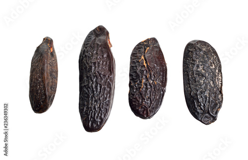 Fotomural Bean of Dipteryx odorata, cumaru or kumaru