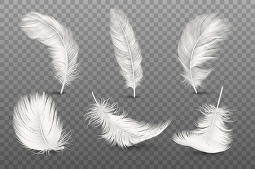 vector 3d realistic different falling white fluffy twirled feather set closeup isolated on transpare