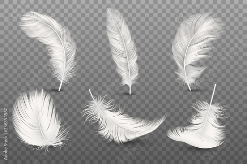 Vector 3d Realistic Different Falling White Fluffy Twirled Feather Set Closeup Isolated on Transparency Grid Background Tableau sur Toile