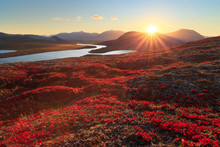 Autumn Landscape With Mountain, Valley And Lagoon Views. The Slopes Of The Hill Are Covered With Scarlet Arctous. Amazing Sunset With Sun Rays Over The Mountains. Mount Inakhpak, Chukotka, Russia.