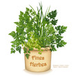 Herb Garden Clay Planter with traditional French Fines Herbes or 