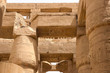 Egyptian hieroglyphs and drawings on the walls and columns. Egyp