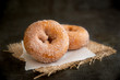 Rustic cinnamon sugar donuts