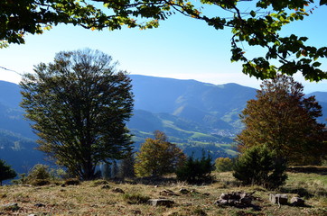 Herbst im Schwarzwald 