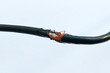 © KatMoy - Damaged black electric cord on white background. Dangerous broken power electrical cable