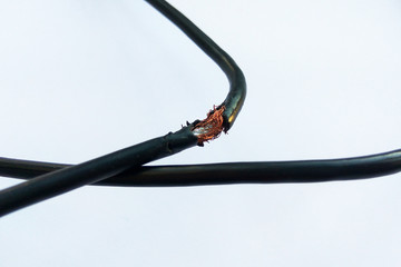 Damaged black electric cord on white background. Dangerous broken power electrical cable