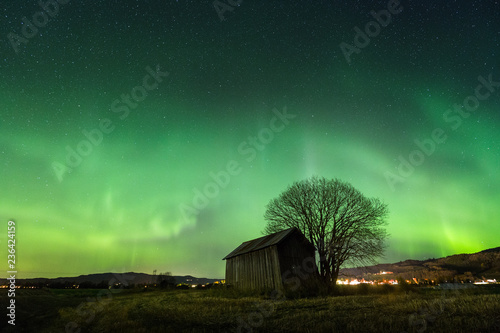 Fotografie, Obraz North lights on the sky above Norway, seen from Selbu area.