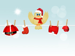 Sticker - bird with clothes of Santa Claus