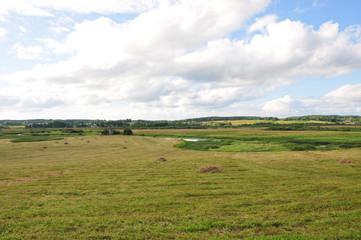 landscape with green field and blue sky