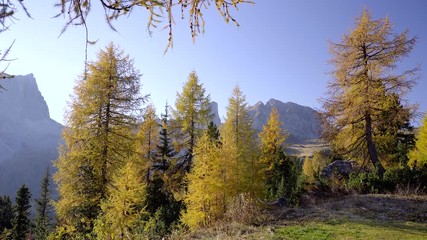 Wall Mural - Scenic footage of majestic Dolomites mountains in Italian Alps. Landscape shot of colorful trees and rocky mountains in the the Italian Dolomites in sunny autumn day.